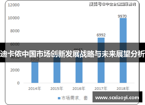 迪卡侬中国市场创新发展战略与未来展望分析